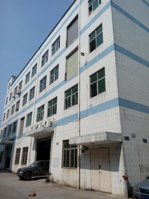 廣州市廠房結構安全檢測公司哪家正規(guī)？工程設計需重視專業(yè)檢測