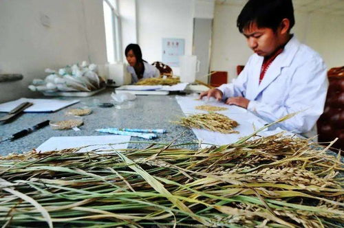 人人可參與，最高獎金12萬元 生物農藥技術研發新機遇