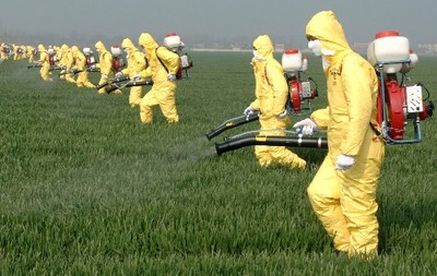 綠色守護(hù) 生物農(nóng)藥技術(shù)研發(fā)——有機(jī)農(nóng)業(yè)病蟲害防治的關(guān)鍵突破