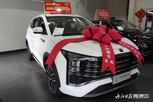 內江第三十三屆汽車文化周盛大啟幕，內江市宇良汽車銷售攜江淮、思皓等實力車型驚艷亮相